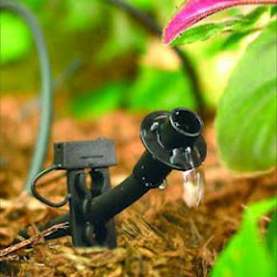 we install drip irrigation