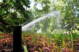 our Rockville irrigation repair teamcan clean and repair any pop-up heads on your sprinkler system