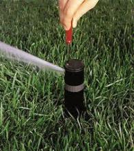 a pop up head adjustment by a Rockville Sprinkler Repair member